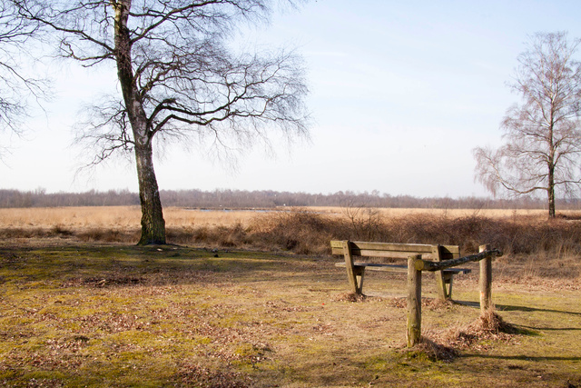 Haaksbergerveen.