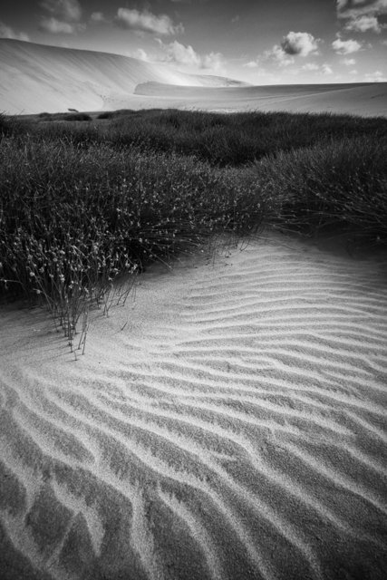 Sand_Wind_and_Light--4.jpg