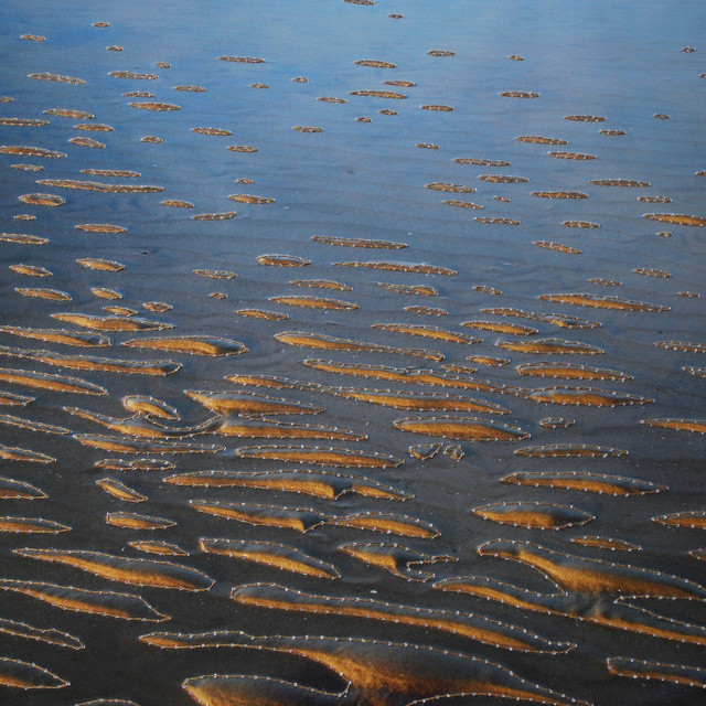 net boven water.jpg