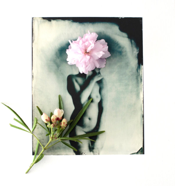 FLOWERS_1_021.JPG
