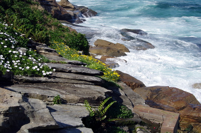 Bronte Beach (10) VB.jpg