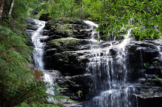 The National Trail Wentworth Falls (13) VB.jpg