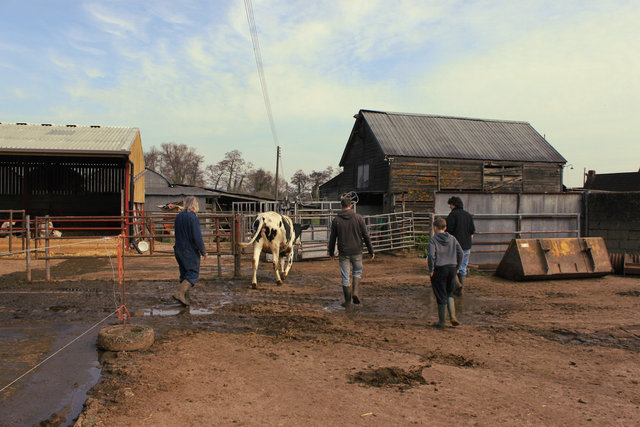 Bosley Mill Farm, Gloucestershire