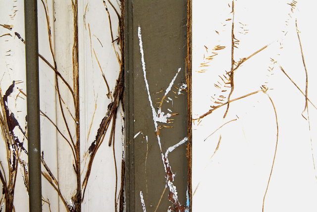 Andrew Gurnett: Finding a Way