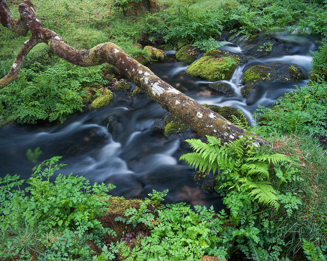 Newleycombe Lake