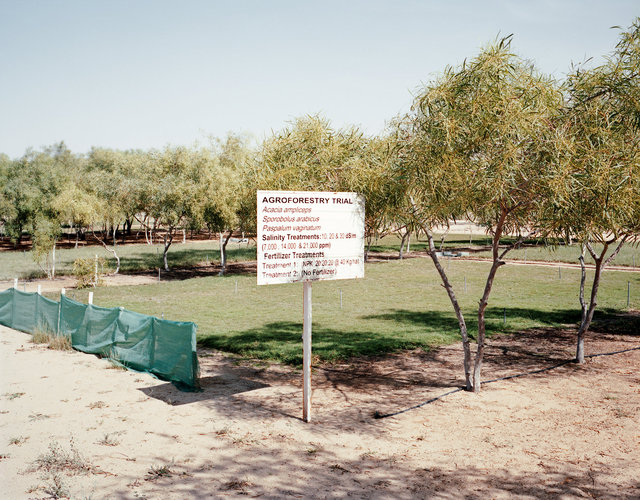 Salinity Trials