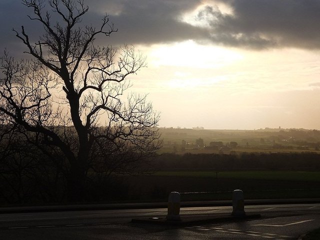 View Ross-Shire Scotland by Alison Gracie