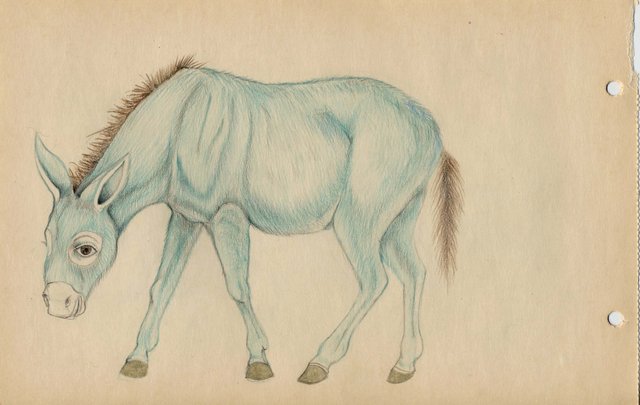 Blue Donkey (2007)
