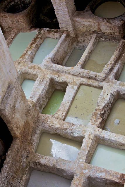 Fez tanneries