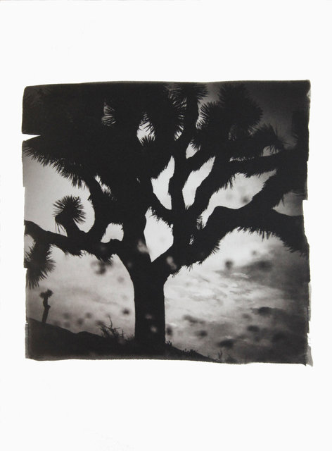American Diary-015.JPG