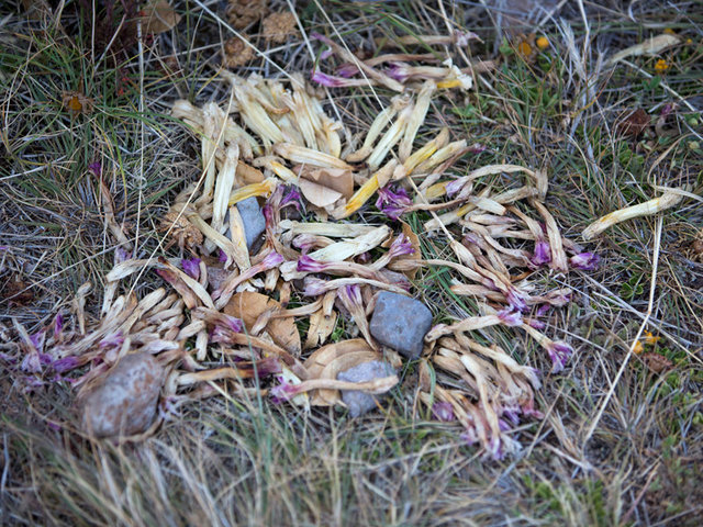 IslandsOfTiticaca_AK15.jpg