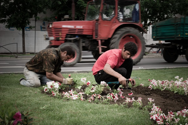 ALM-Bucarest-20100520CL240.JPG