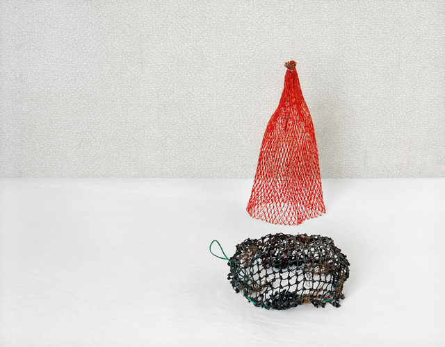 Flotsam I (2 nets), c 2009