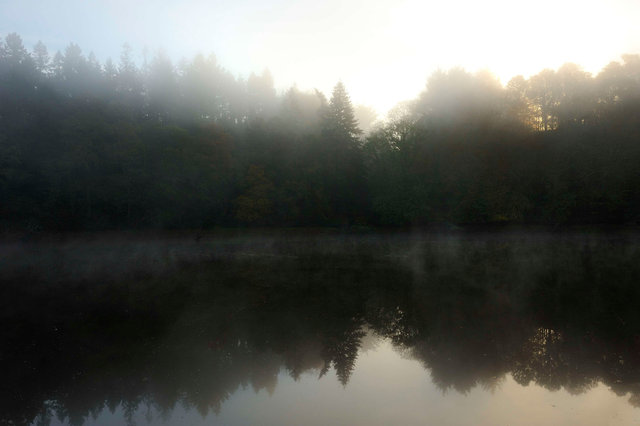 Vallée de Tréauray # 8