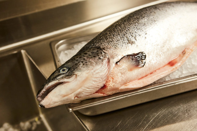 _MG_5675.jpg