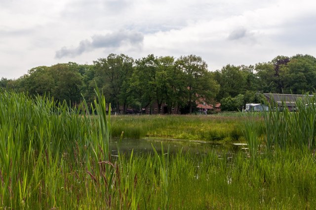 _MG_6052.jpg