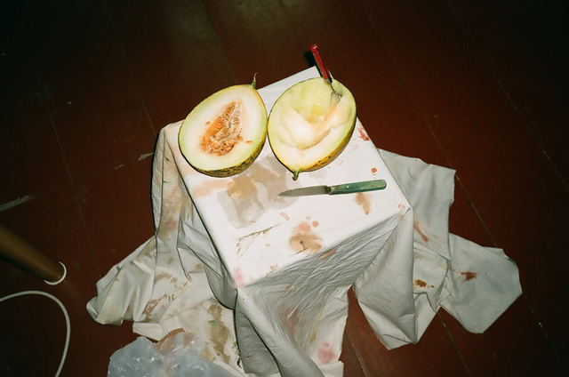 melon blanc.jpg