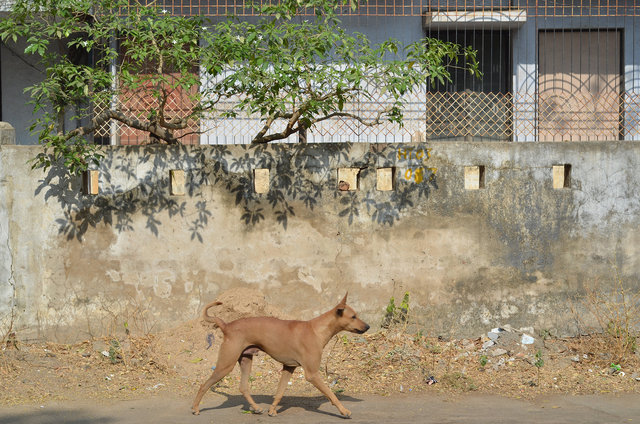 Indian streets