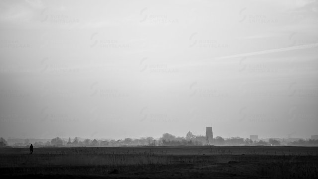 _D3_6691.jpg