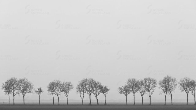 _D3_8599.jpg