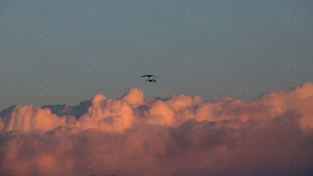 _D3_0064 2.jpg