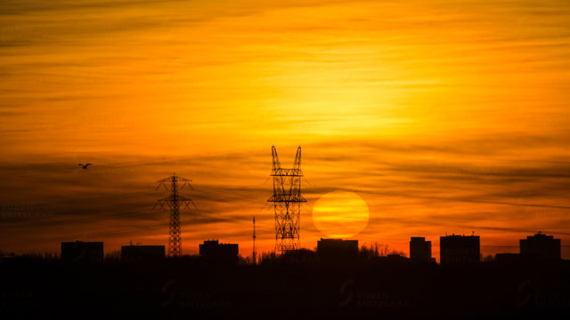 _D3_0241.jpg