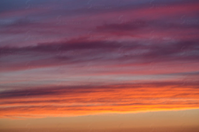 _D3_4236.jpg