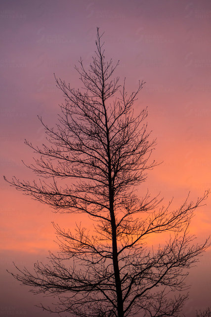 _D3_0654.jpg