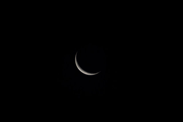 _D3_2237.jpg