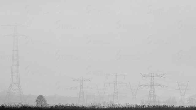 _D3_6837.jpg