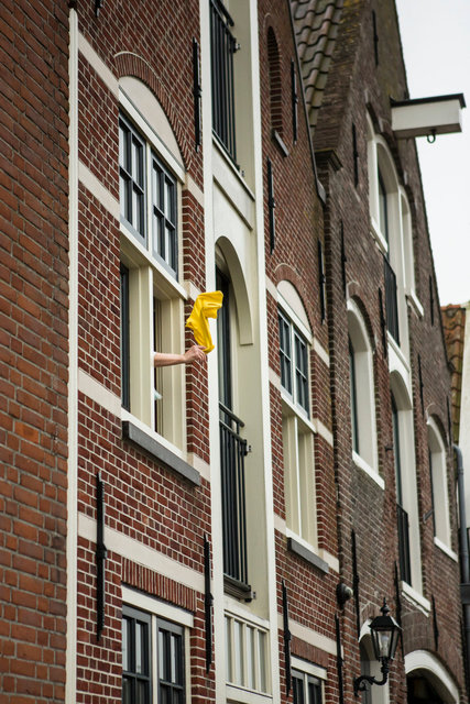 _D3_8371 2.jpg