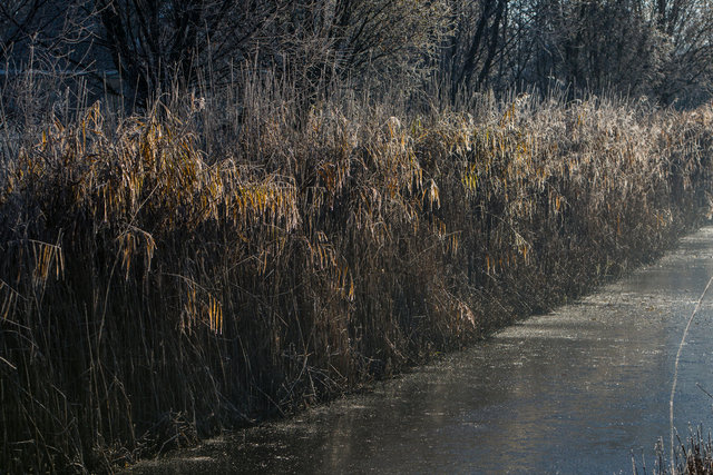 _D3_2704.jpg