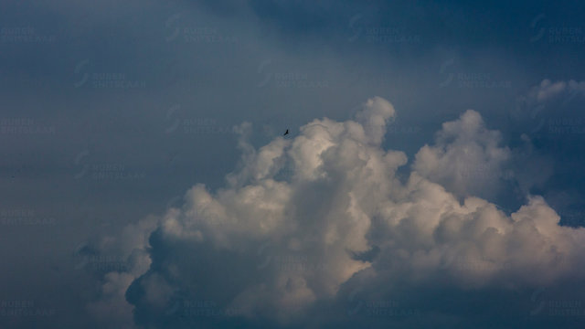 _D3_5938-2.jpg