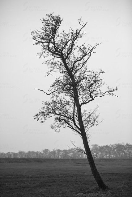 _D3_8551.jpg