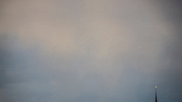 _D3_8732.jpg