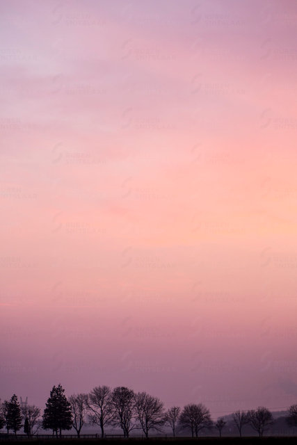 _D3_0657.jpg