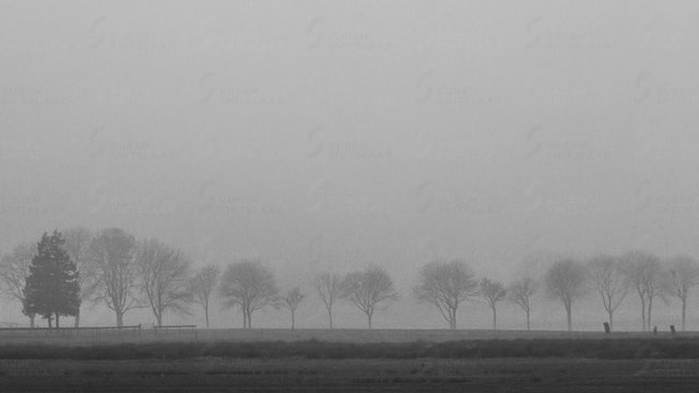_D3_0785.jpg