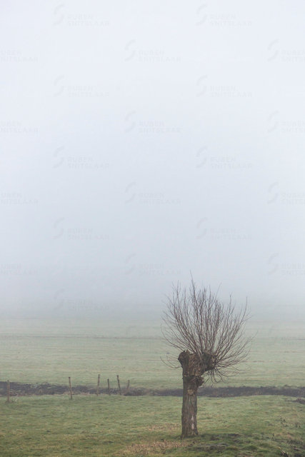 _D3_4356.jpg