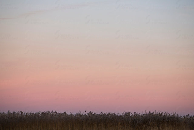 _D3_2076.jpg
