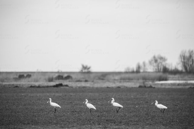 _D3_2848.jpg