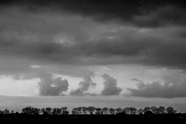 _D3_8938.jpg