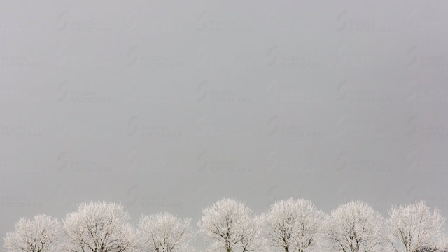 _D3_7467.jpg
