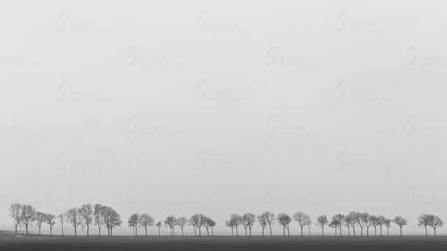 _D3_8605.jpg