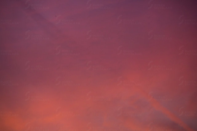 _D3_0660.jpg