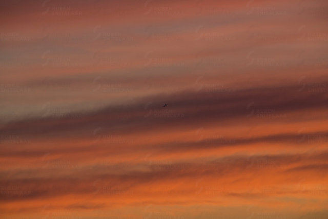 _D3_4221.jpg