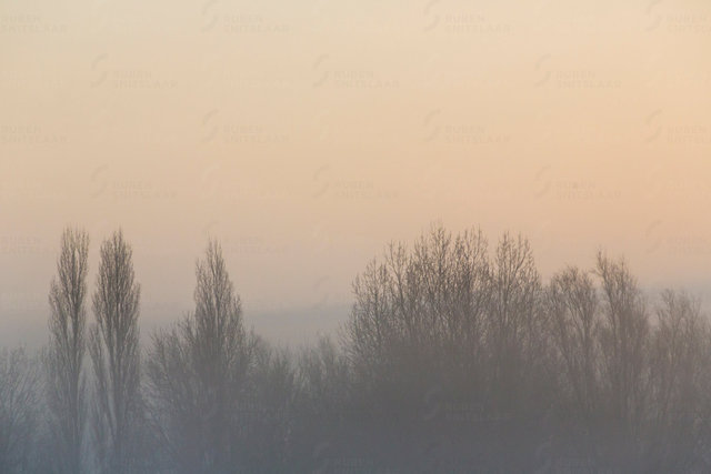 _D3_3672.jpg