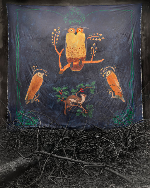 OWLS.jpg