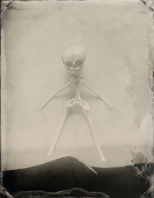 BABY-1.jpg