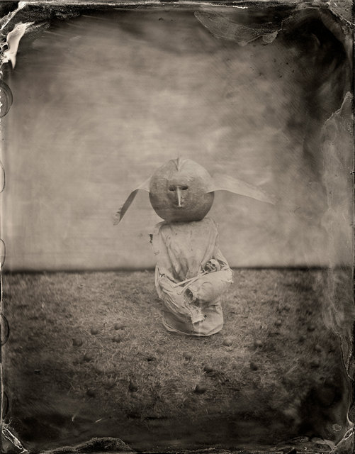BIRDHEAD-3.jpg