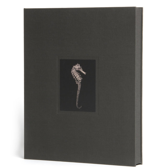 CLAM-COVER-copy.jpg